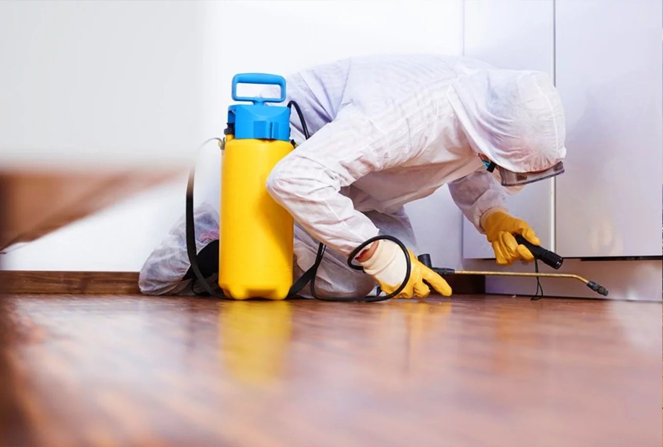 Residential Pest Control Service