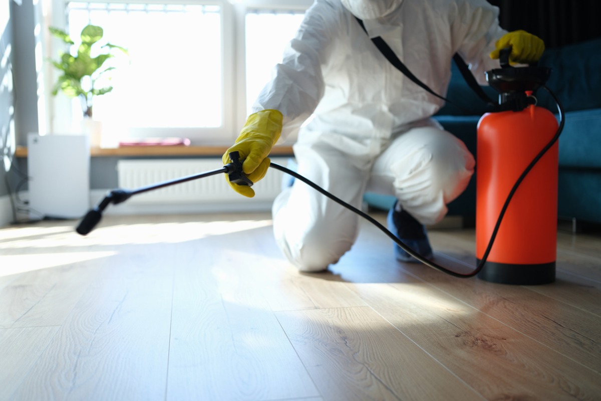 Commercial Fumigation Service